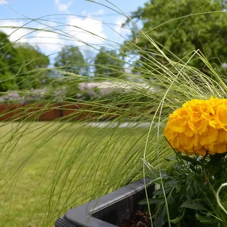 Ravila Puhkemaja Hébergement de vacances Kuressaare