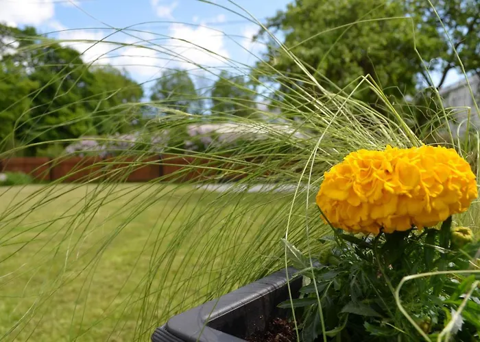 Ravila Puhkemaja Feriehus Kuressaare