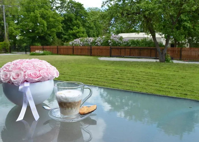 Ravila Puhkemaja Σπίτι διακοπών